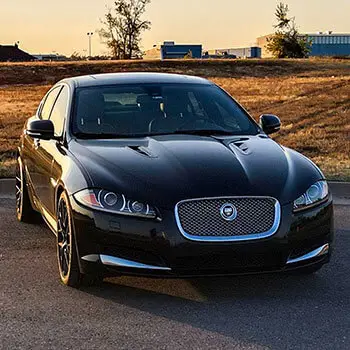 Jaguar